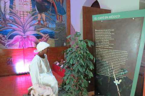 Tuxtla: Coffee Museum Guided Tour with Tasting