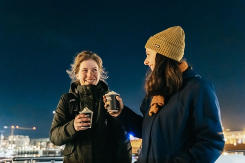 Reikiavik: tour por la aurora boreal en yate de lujoReikiavik: aurora boreal en yate con recogida en el hotel