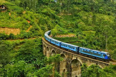 Kandy To Nanuoya Drop Tour & Morning Ella Train Journey Kandy To Nanuoya Drop Tour & Morning Ella Train Journey Car*