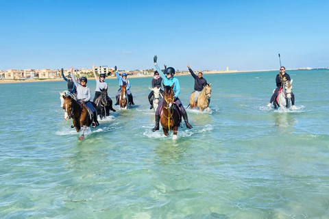 الغردقة: جولة ركوب الخيل في الصحراء والبحر مع خيار السباحةجولة لمدة ساعتين لركوب الخيل بدون السباح