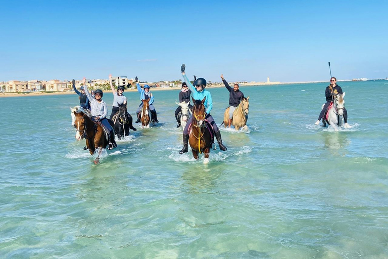 الغردقة: جولة ركوب الخيل في الصحراء والبحر مع خيار السباحةجولة لمدة ساعتين لركوب الخيل بدون السباح