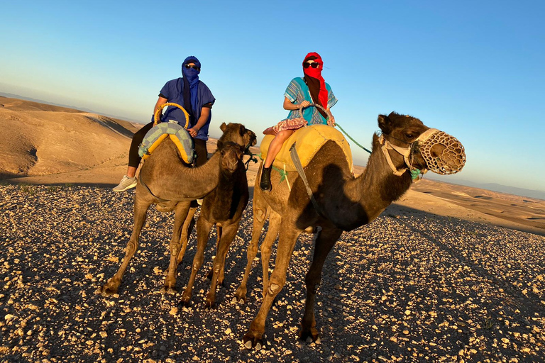 Marrakech: Montañas del Atlas, Valle del Ourika, almuerzo y paseo en camello