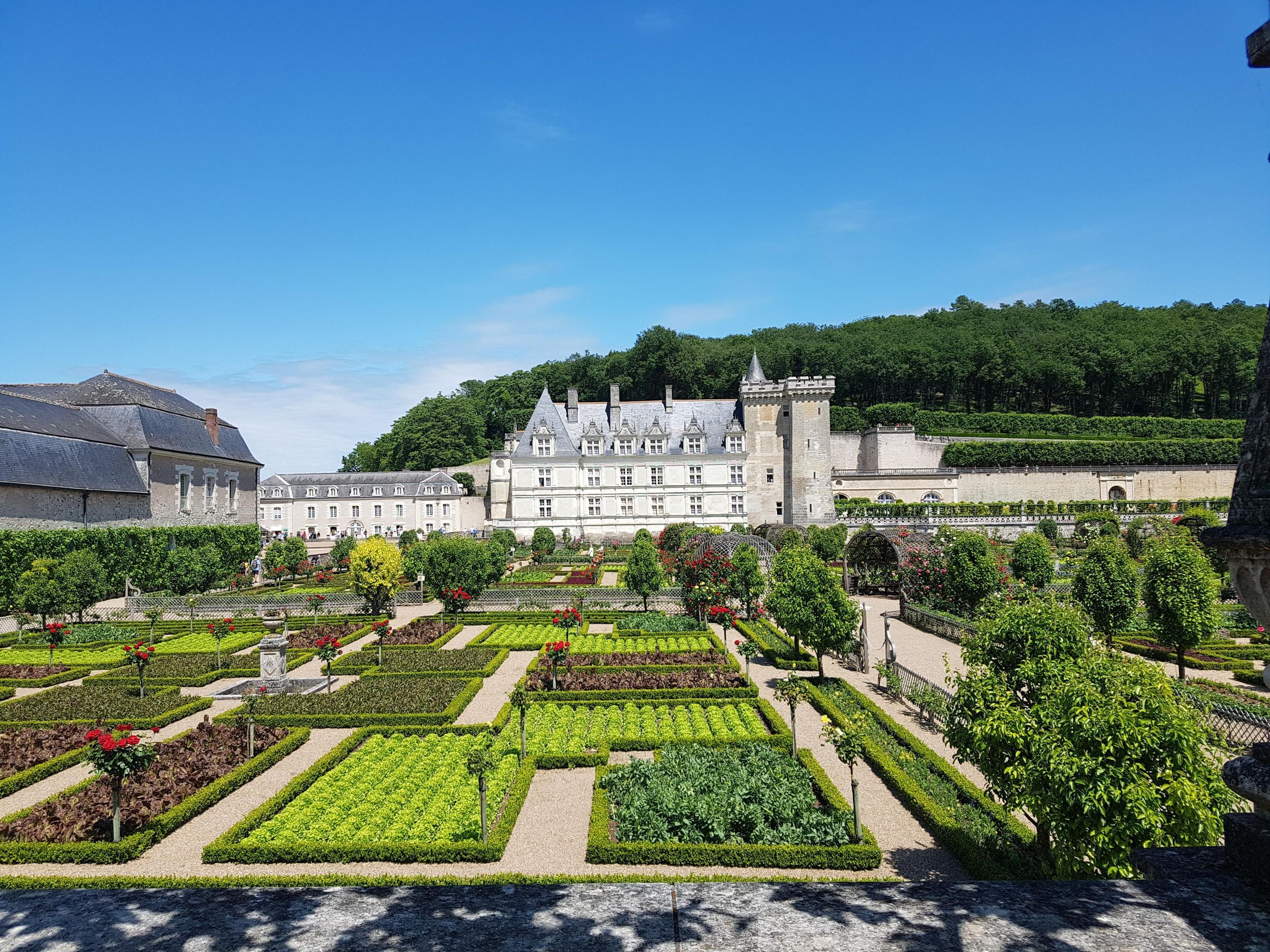 Touren: Chateaux Azay-le-Rideau und Villandry Morning Tour