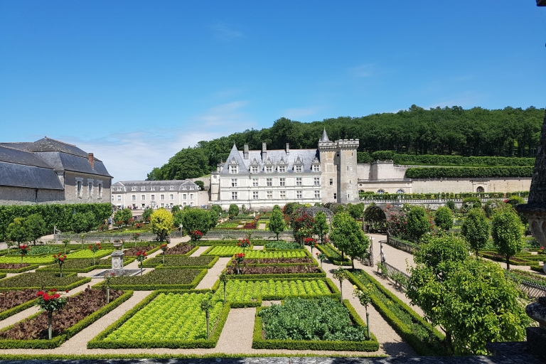 Tours: Chateaux Azay-le-Rideau and Villandry Morning Tour