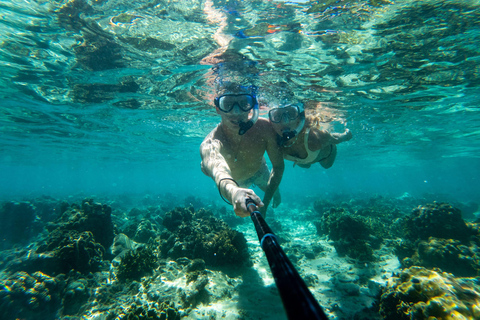Tirana/Sazan Island, Haxhi Ali Cave & Beach Day By Speedboat From Tirana/Durres: Sazan & Karaburun Peninsula by Speedboat