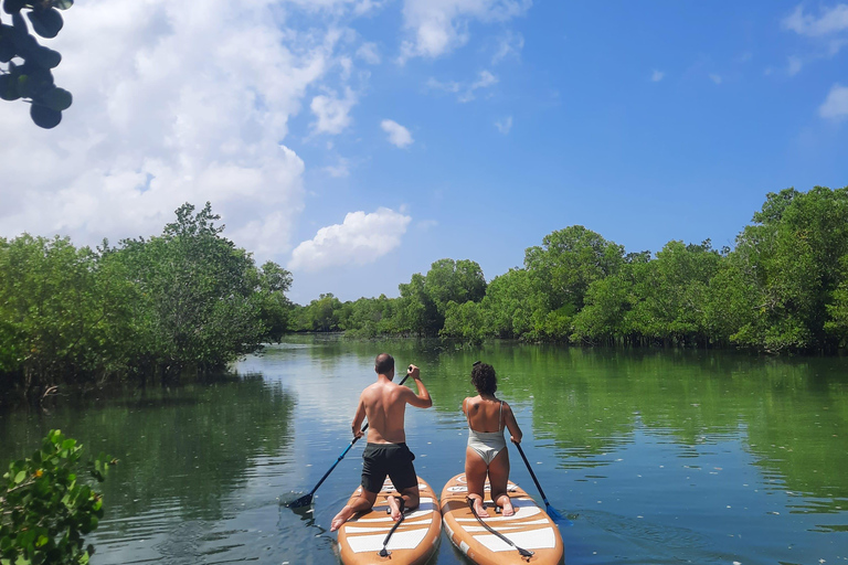 Zanzibar: Unik guidad mangrovetur med SUP eller kajak