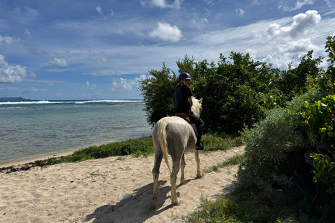Saint-François : Balade à cheval en bord de mer de 2h30