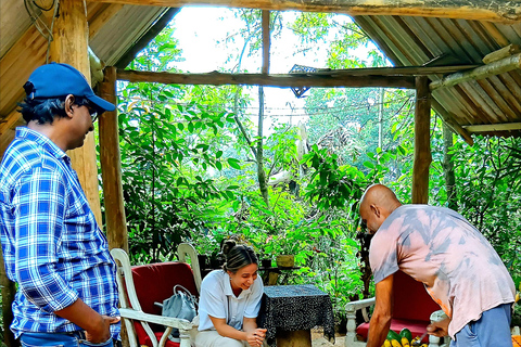 Kandy city tour and village tour in one day