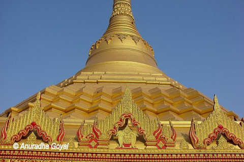 Bombay: Cuevas de Kanheri y Templo de la Pagoda DoradaSólo Excursión a las Cuevas de Kanheri con servicio de recogida y regreso