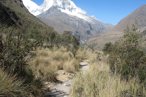 Laguna 69 full day tour