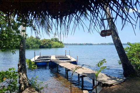Hikkaduwa: Rathgama Lagoon Kayaking and Fish Therapy Tour