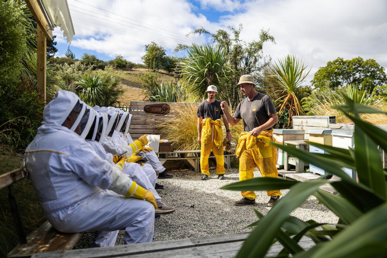 Queenstown: Beekeeping and Honey Spinning Experience