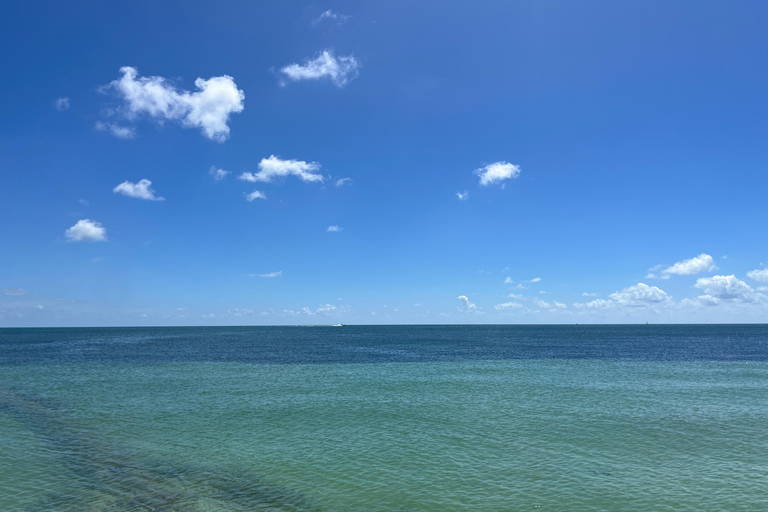 Miami: 2-Hour Tour of Key West's Historic District in French and English From Miami: 2-Hour Historic Key West Tour in French and English