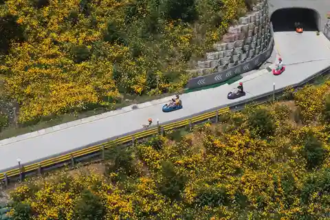 Incheon Luge & Railbike & Purple Azelea Festival