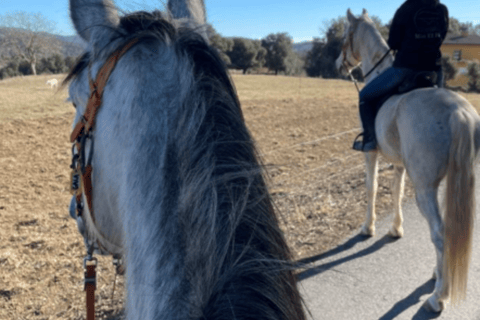 Girona: La Garrotxa Horseback Riding Experience