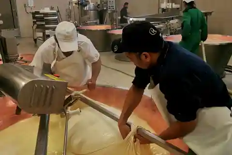 Bolonia: Experiencia Parmigiano, Vino y Vinagre Balsámico