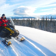 Yukon : excursion d'une demi-journée en motoneige