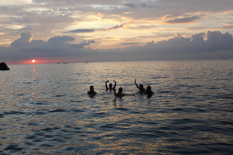 Ko Phi Phi Don: Speedboot dagtrip met snorkelen met haaien