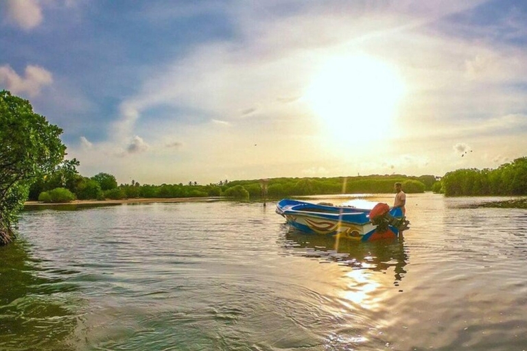 Tour en bateau à Negombo