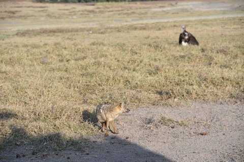 3-Day Safari to Serengeti and Ngorongoro Crater