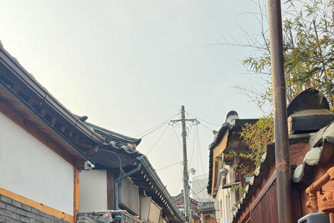 Seoul: Private Family Tour | Kid-Friendly | Minimum Walking Full Day 9 Hours