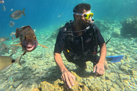 Marmaris: Full-Day Scuba Diving Trip with Lunch & Pickup Scuba Diving Experience (Meeting Point)