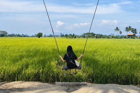 Penang Mainland: 1-Day Trip with Temples, Food & Countryside