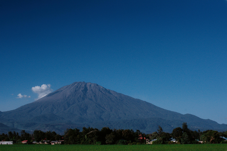 4-dagars Mount Meru Climbing &amp;Wildlife Tour med boende