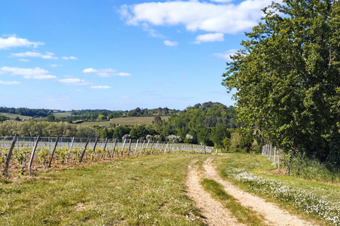 Bordeaux by gravel bike : Historic center & Vineyards Bordeaux by gravel bike : Entre-Deux-Mers vineyards