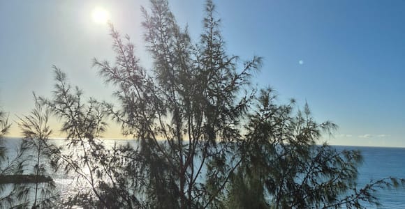 Maspalomas: Sunset Walking Tour with Lighthouse Views