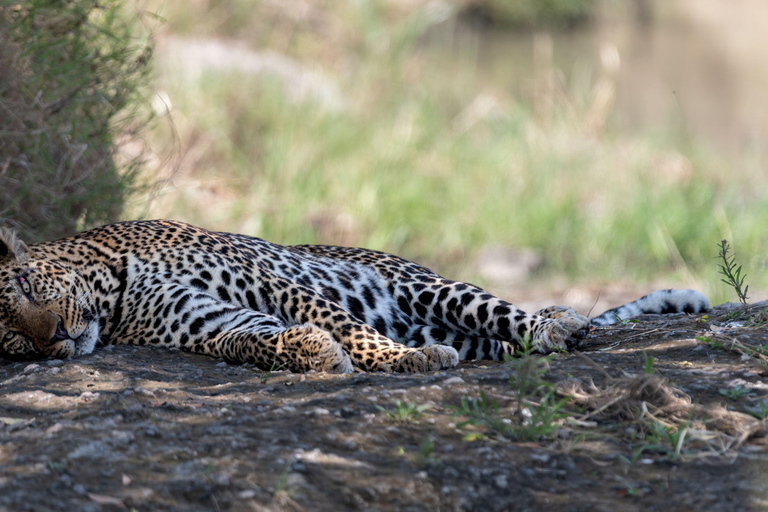 Nairobi: Safari de 3 dias em Maasai Mara com alojamento.AW