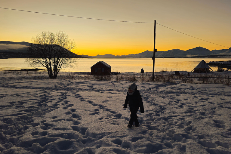 Da Tromsø: Tour panoramico dei fiordi e della fauna artica in auto