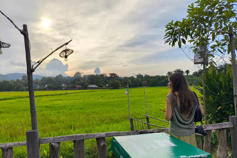 Chiang Mai: Pro Private Driver Service with Custom Itinerary