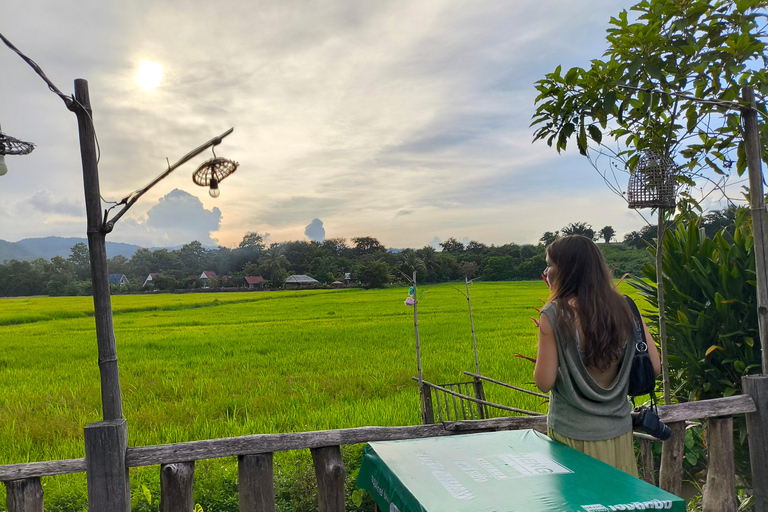 Chiang Mai: Pro Private Driver Service with Custom Itinerary