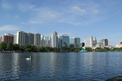 Orlando’s Lake Life: Swans, Stories & Downtown Views