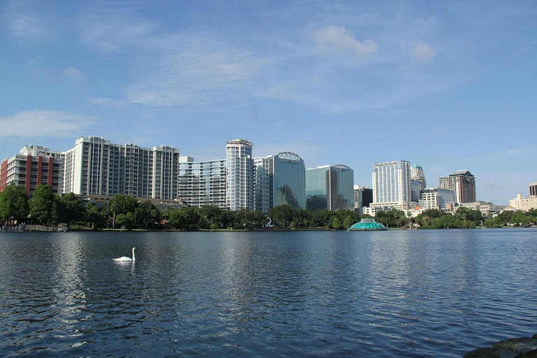 Orlando’s Lake Life: Swans, Stories & Downtown Views