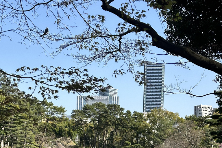Hiroshima’s Highlights & Hidden Spots: Private Walking Tour