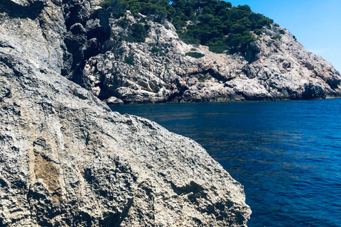 Cala Ratjada: PASSEIO DE SAFÁRI 2H