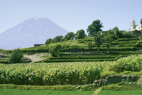 De Arequipa: City tour em Mirabus | Mirante de Yanahuara | Você pode fazer um passeio de carro ou de ônibus em Arequipa.