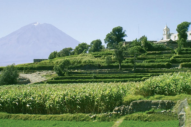 Z Arequipy: Mirabus City Tour | Yanahuara Viewpoint |