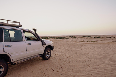 Tunisia: 4x4 Sahara Desert Tour with Dunes & Photo Stops