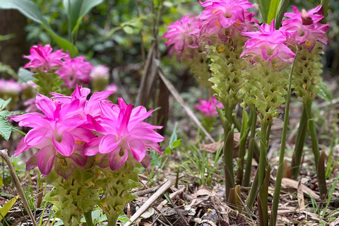Croydon in the Mountains - Eco Farm Tour with Lunch