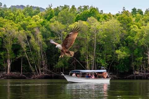 Langkawi : tour en bateau mangrove de Kilim avec baignade et déjeuner