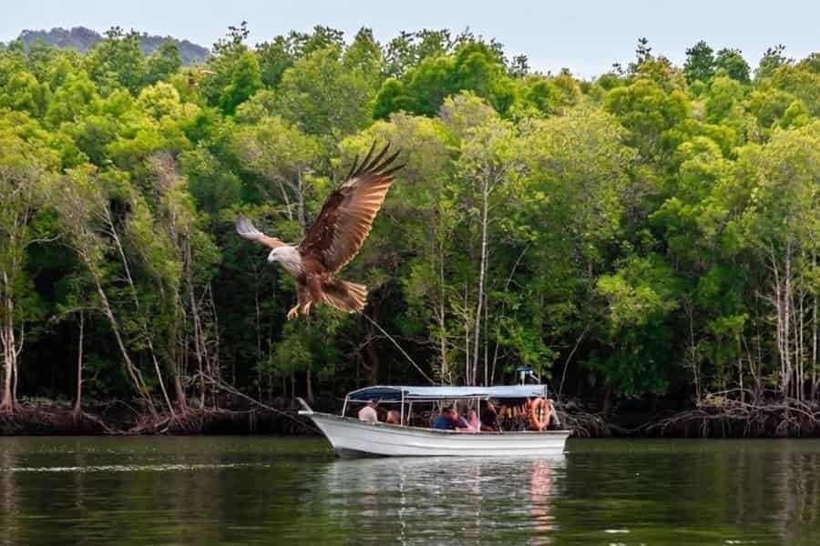 Langkawi: Kilim-Mangroven-Bootstour + Schwimmen & Mittagessen. Foto: GetYourGuide Langkawi: Kilim-Mangroven-Bootstour + Schwimmen & Mittagessen. Foto: GetYourGuide