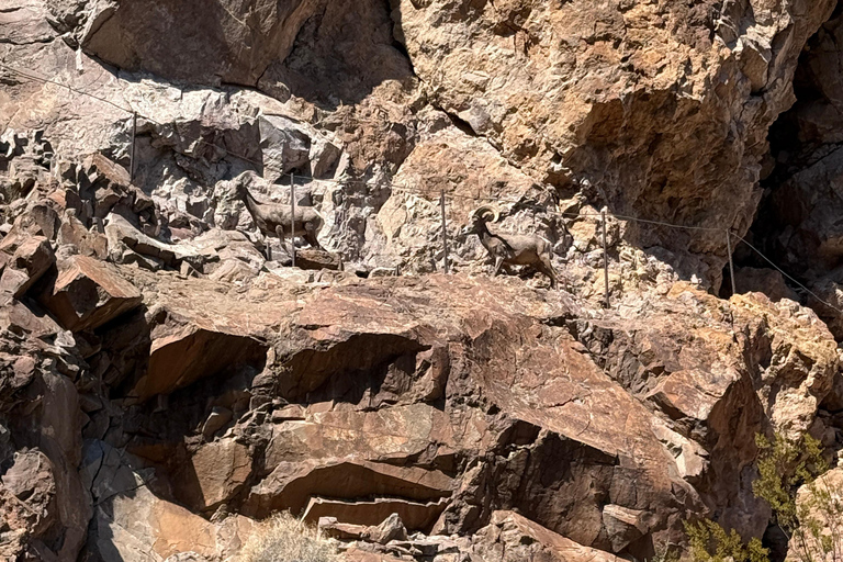 Explore Emerald Cave: Las Vegas Kayak Rental (Self-Guided)