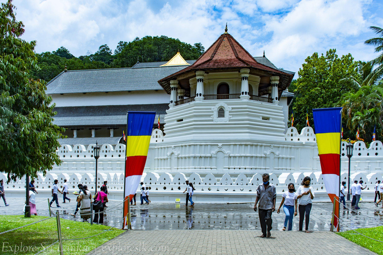 2 dagars rundtur Pinnawala/Sigiriya från Kandy2 dagars rundtur med tuk tuk