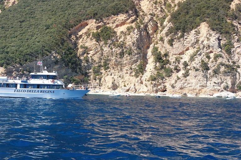 From Arbatax: Full-Day Guided Boat Tour of the Baunei Coast From Arbatax: Full-Day Guided Boat Tour of the Baunei Coast