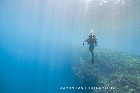 Fisheye Divers: PADI Open Water Course