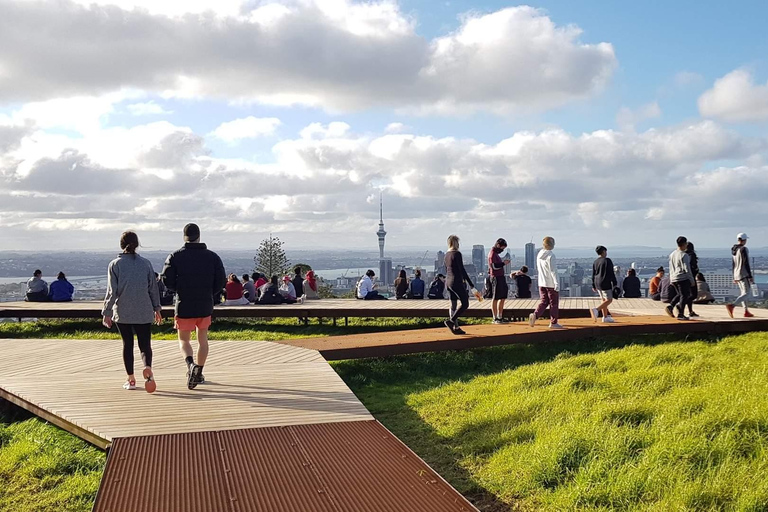 Halve dag Auckland City Sightseeing Tour in kleine groep