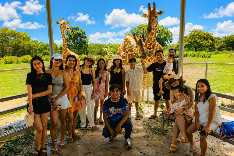 From Coron: Calauit Safari & Black Island Tour with Lunch